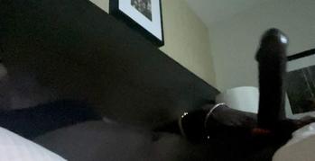 8623732894, transgender escort, Brockton